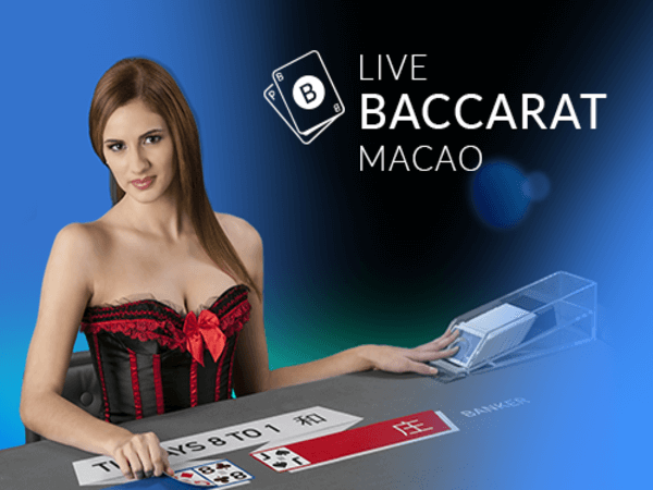 ph365 log in live casino